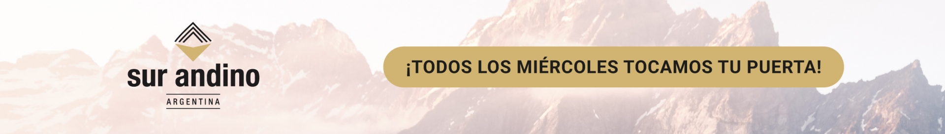 DP-Saldo-de-Exportacion-Banner1.jpg